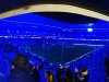 IMG_20191206_203435