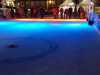 IMG-20191204-WA0071